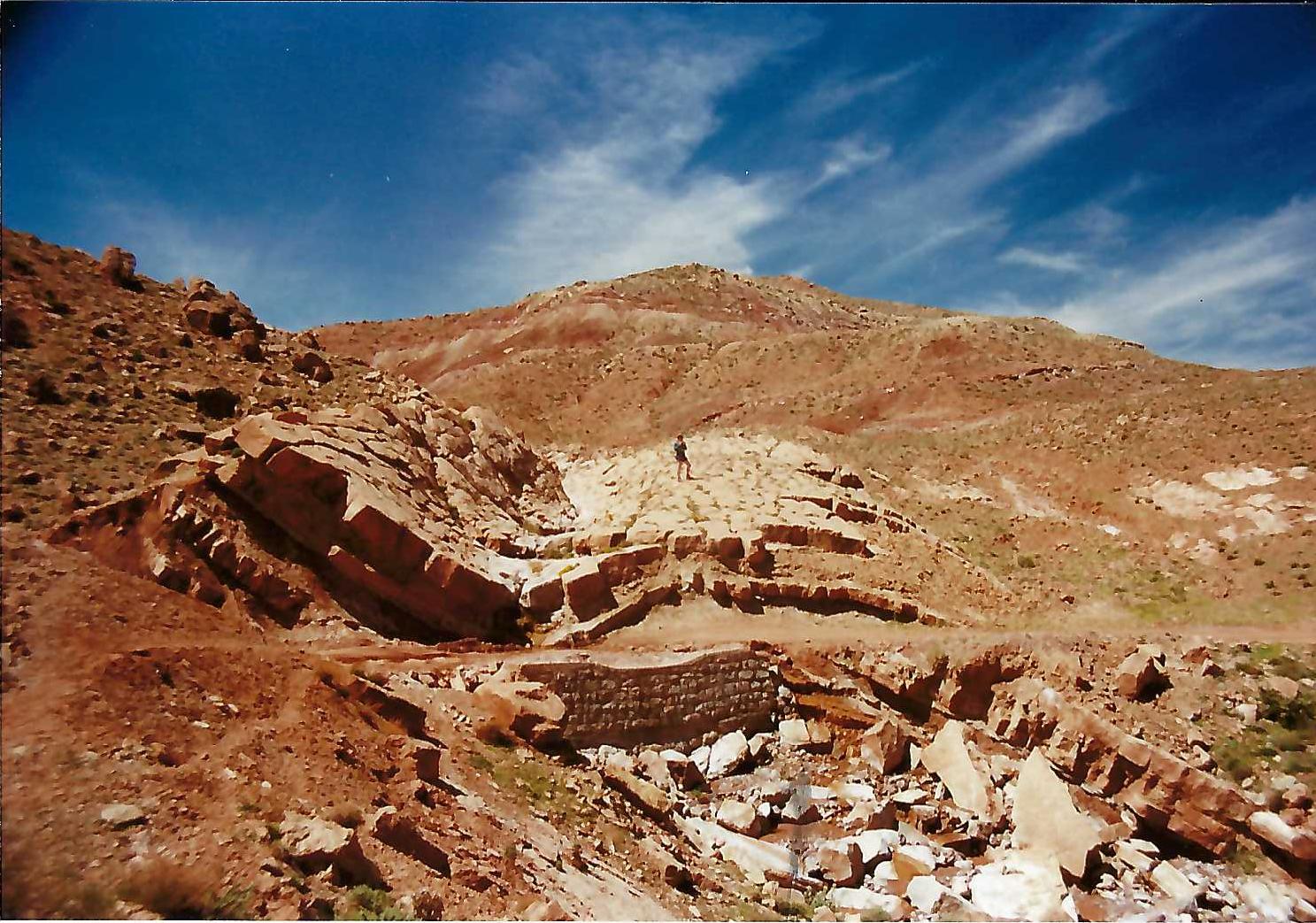 Field mapping and sampling program.  Idaho cobalt belt.